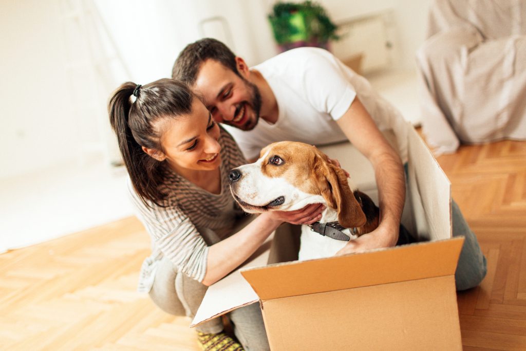 Couple playing with dog during move