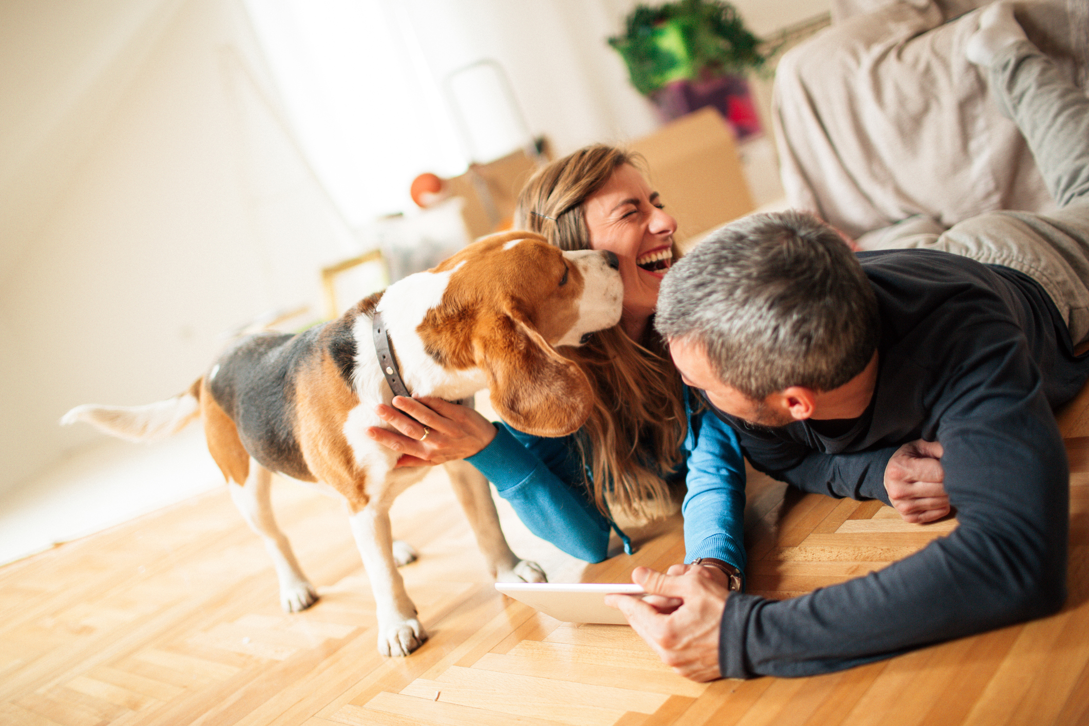 How to Move with Pets: 10 Tips to Make Your Move Smoother