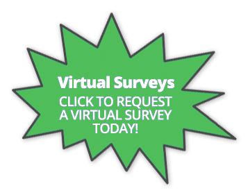 virtual survey bubble