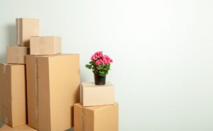 Boxes stacked for moving with a pink flowering plant on top