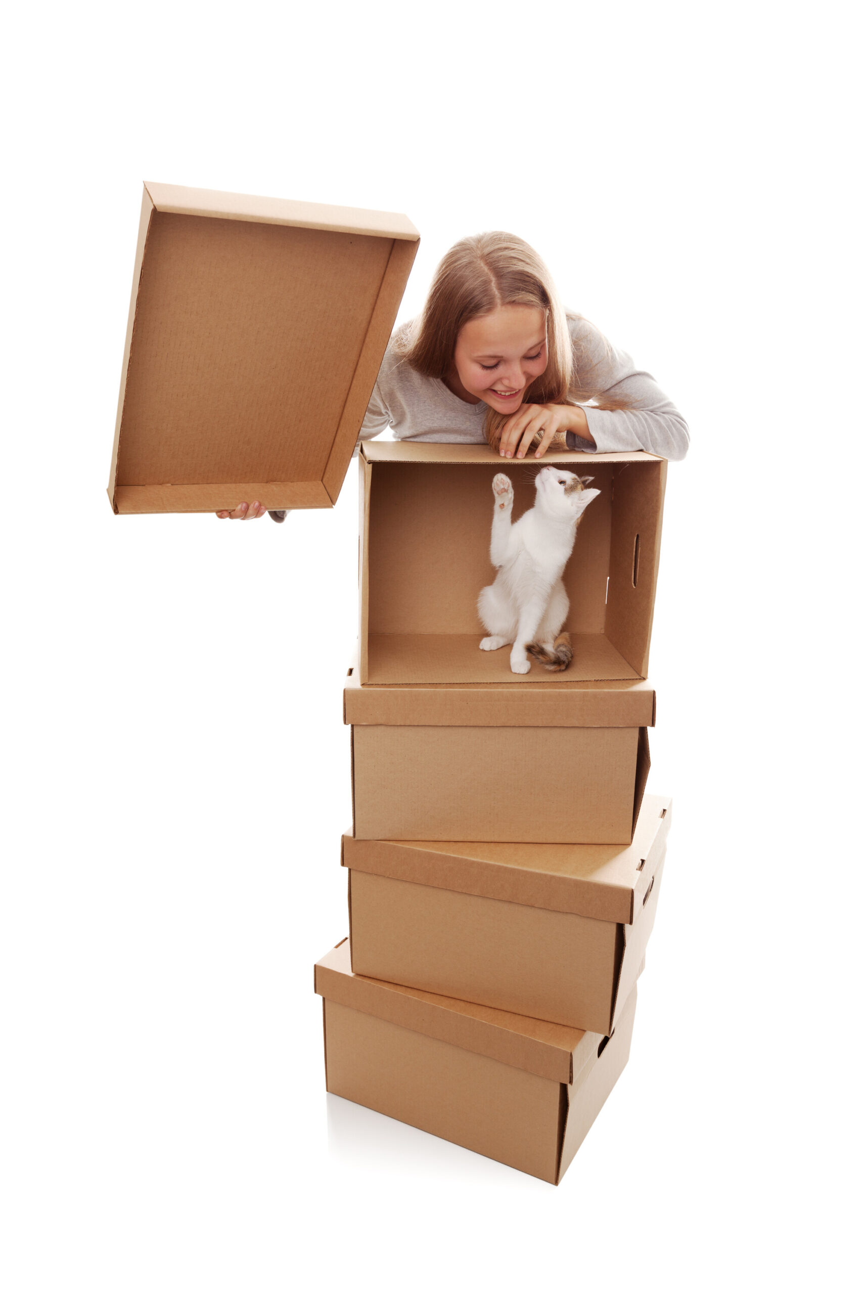 Moving with Pets – Good Tips to Consider